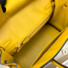 Hermes Birkin 25