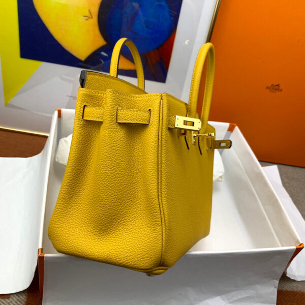 Hermes Birkin 25