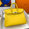 Hermes Birkin 25