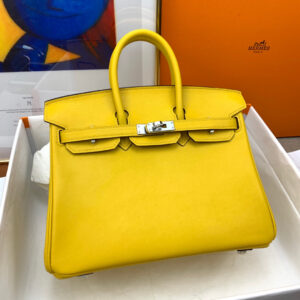 Hermes Birkin 25