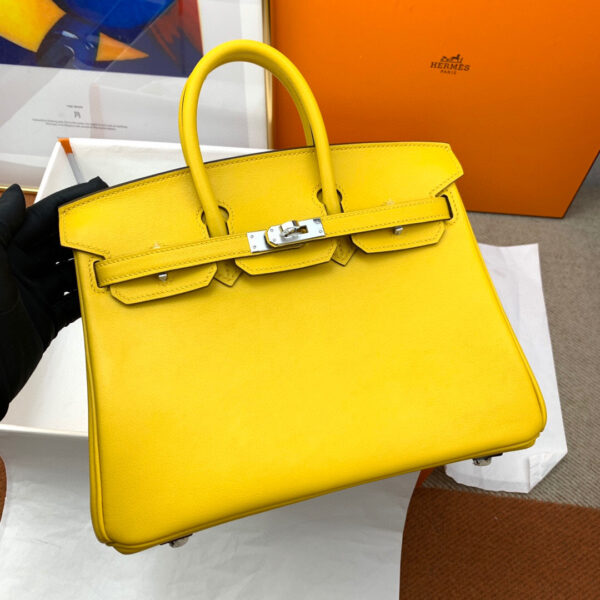Hermes Birkin 25
