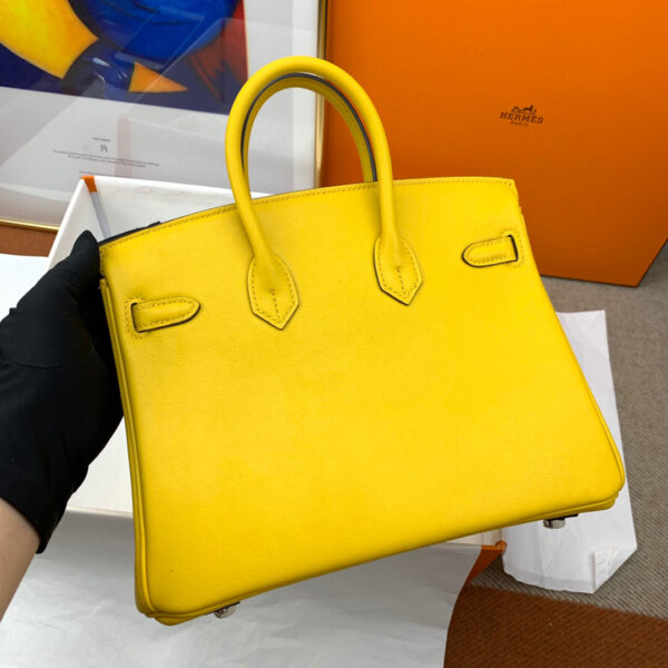 Hermes Birkin 25