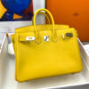 Hermes Birkin 25