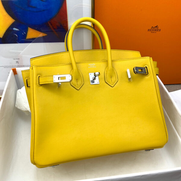 Hermes Birkin 25