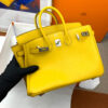 Hermes Birkin 25