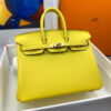 Hermes Birkin 25