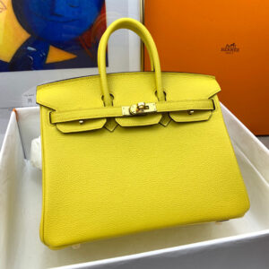 Hermes Birkin 25