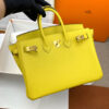 Hermes Birkin 25