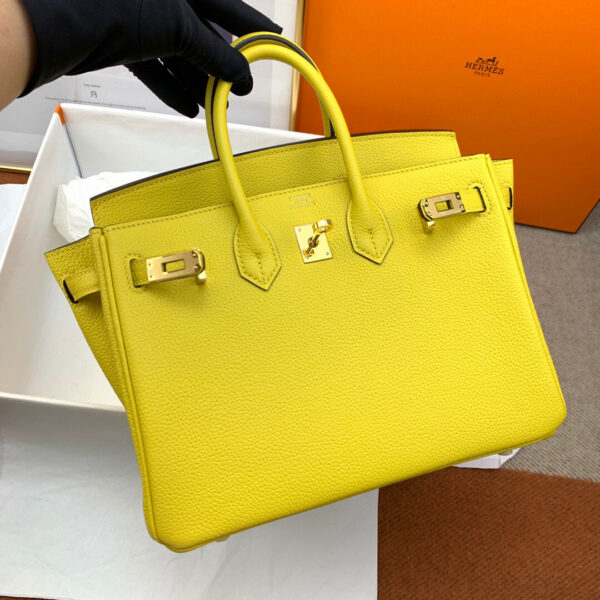 Hermes Birkin 25