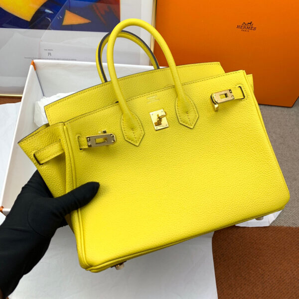 Hermes Birkin 25