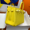 Hermes Birkin 25