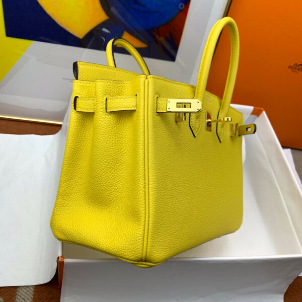 Hermes Birkin 25