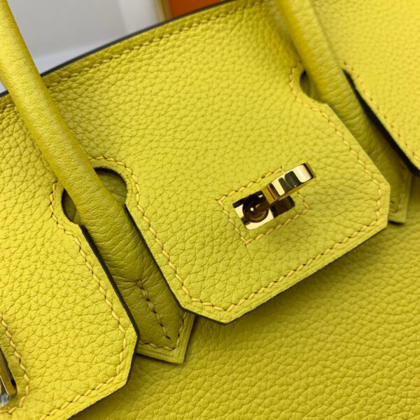 Hermes Birkin 25