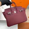 Hermes Birkin 25