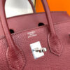 Hermes Birkin 25