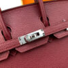 Hermes Birkin 25