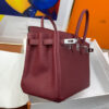 Hermes Birkin 25