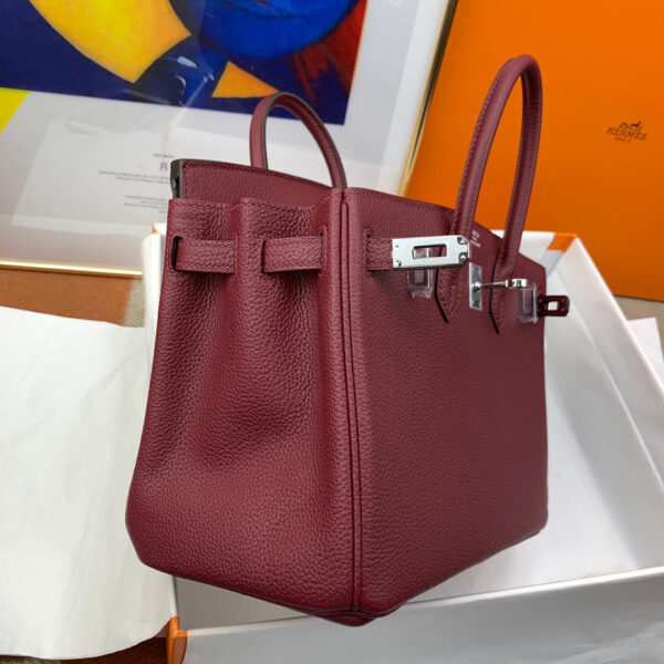 Hermes Birkin 25