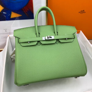 Hermes Birkin 25
