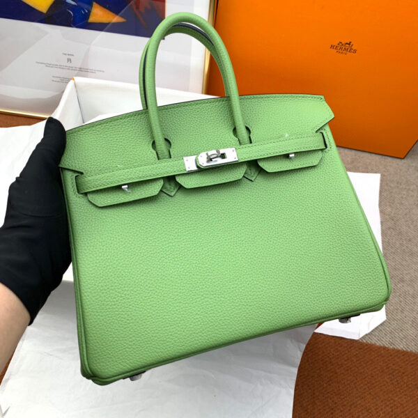 Hermes Birkin 25