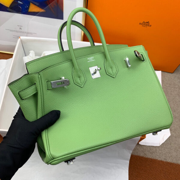 Hermes Birkin 25