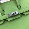 Hermes Birkin 25