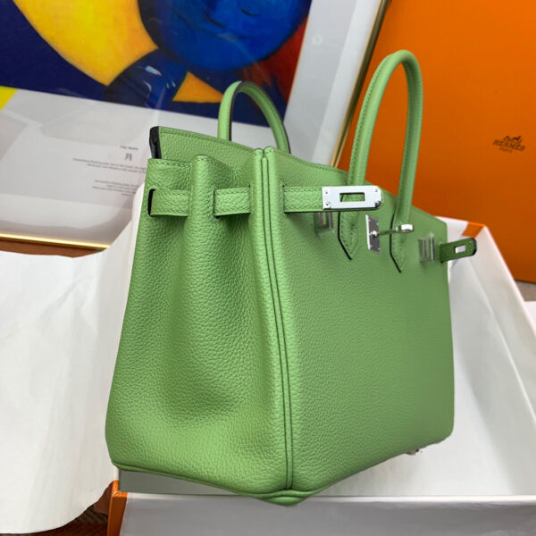 Hermes Birkin 25