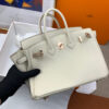 Hermes Birkin 25
