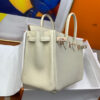 Hermes Birkin 25