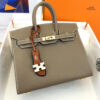 Hermes Birkin 25