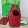 Bottega Veneta Cabat Mini