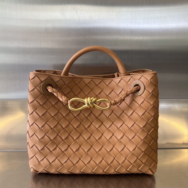 BOTTEGA VENETA BV Small Andiamo