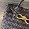 BOTTEGA VENETA BV Small Andiamo