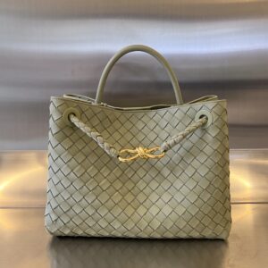 BOTTEGA VENETA MEDIUM ANDIAMO Bag
