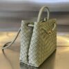 BOTTEGA VENETA MEDIUM ANDIAMO Bag