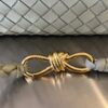 BOTTEGA VENETA MEDIUM ANDIAMO Bag