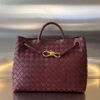 BOTTEGA VENETA MEDIUM ANDIAMO Bag