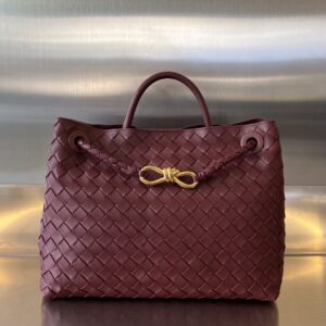 BOTTEGA VENETA MEDIUM ANDIAMO Bag