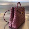 BOTTEGA VENETA MEDIUM ANDIAMO Bag