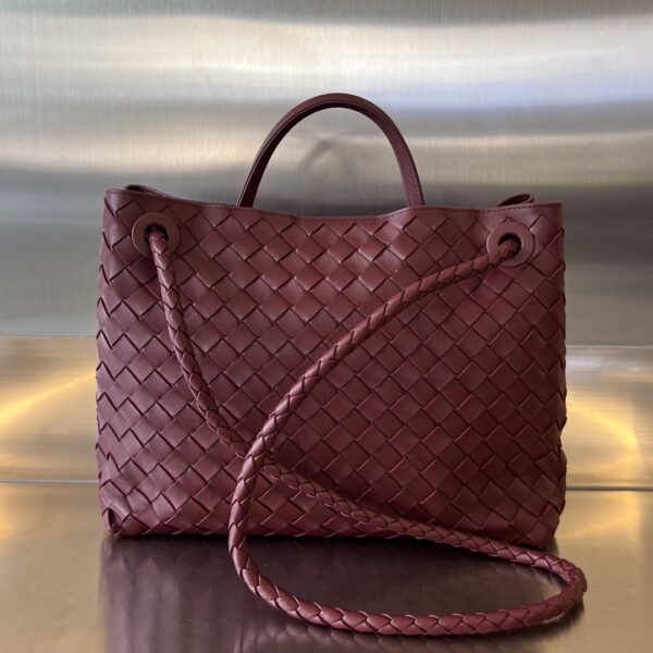BOTTEGA VENETA MEDIUM ANDIAMO Bag