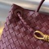 BOTTEGA VENETA MEDIUM ANDIAMO Bag