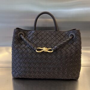 BOTTEGA VENETA MEDIUM ANDIAMO Bag