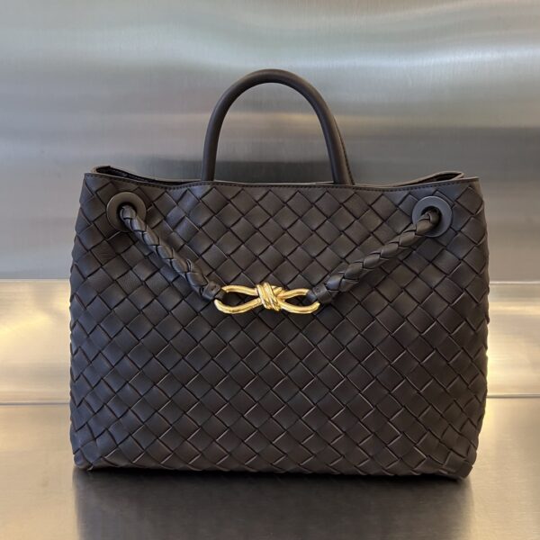 BOTTEGA VENETA MEDIUM ANDIAMO Bag