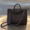 BOTTEGA VENETA MEDIUM ANDIAMO Bag
