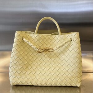 BOTTEGA VENETA MEDIUM ANDIAMO Bag