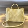 BOTTEGA VENETA MEDIUM ANDIAMO Bag
