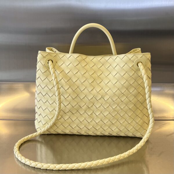 BOTTEGA VENETA MEDIUM ANDIAMO Bag