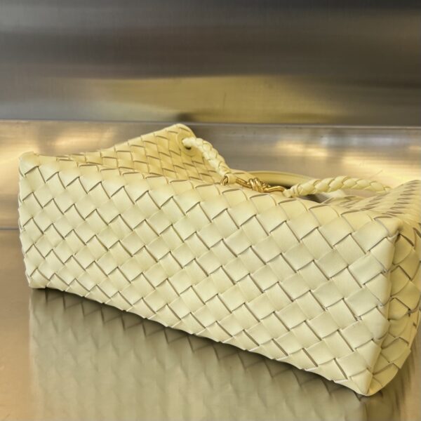 BOTTEGA VENETA MEDIUM ANDIAMO Bag