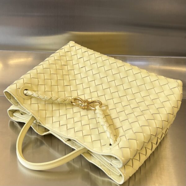 BOTTEGA VENETA MEDIUM ANDIAMO Bag