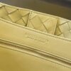 BOTTEGA VENETA MEDIUM ANDIAMO Bag